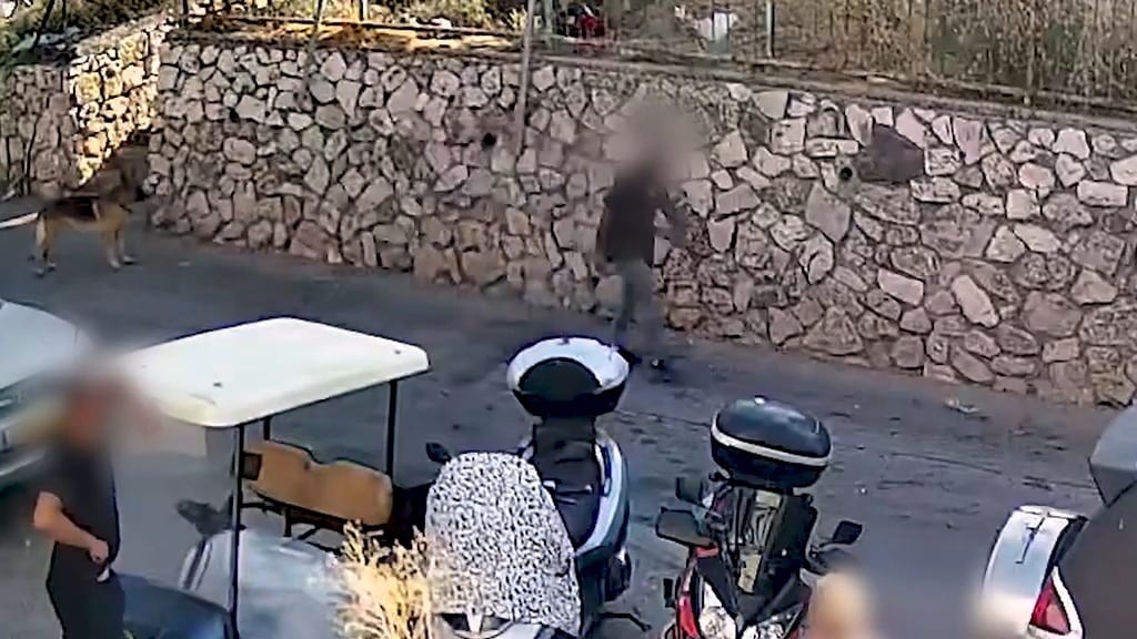 Tiberias Neighbor Stabbed After Complaining About Loud Music