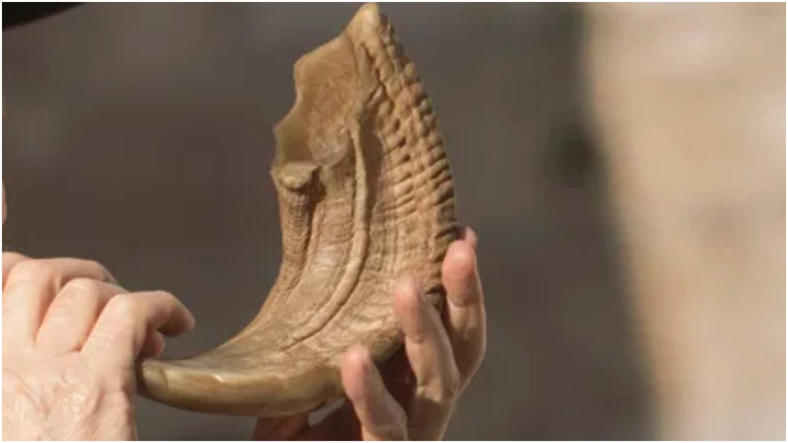 The Hidden Gift of Rosh Hashanah on Shabbat