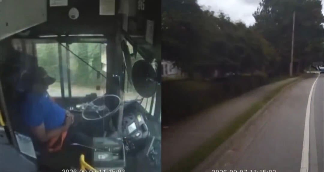 Georgia Bus Driver Falls Asleep at the Wheel, Crashes Into Trees