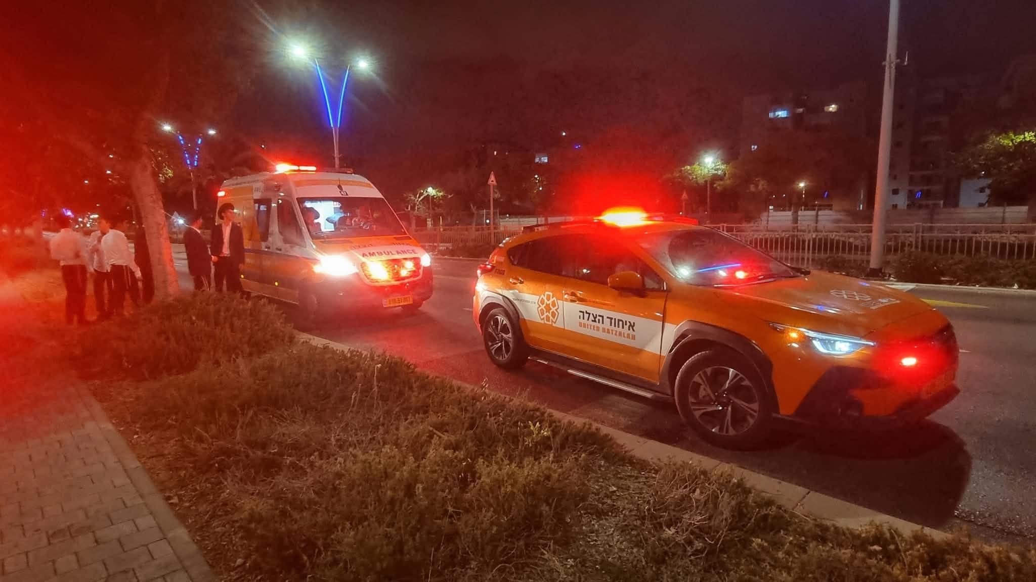 17-Year-Old Yeshiva Student Bitten by Palestine Viper in Ashdod