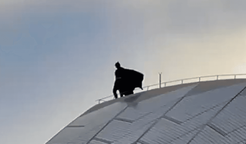 Batman Spotted on Sydney Opera House Roof in Viral Mystery