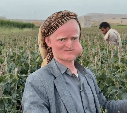 The Addictive Plant Draining Yemen's Water and Future