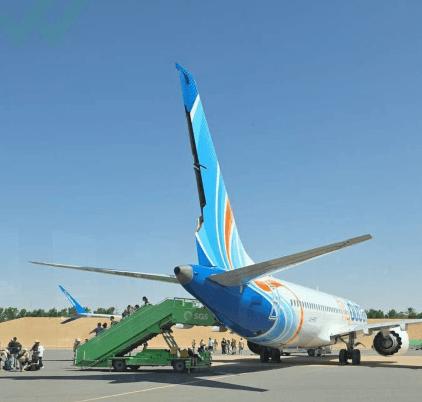 Iran's Fars Claims Israel Plotting "False Flag" Attack on Aircraft Hours After Flydubai Incident