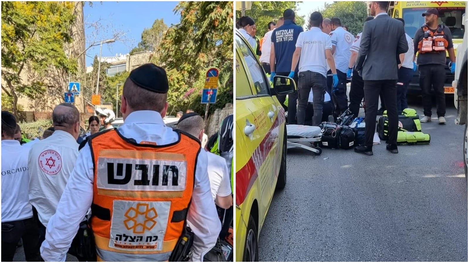 Chareidi Woman, 70, Killed in Hit-and-Run in Rechavia; Driver Flees