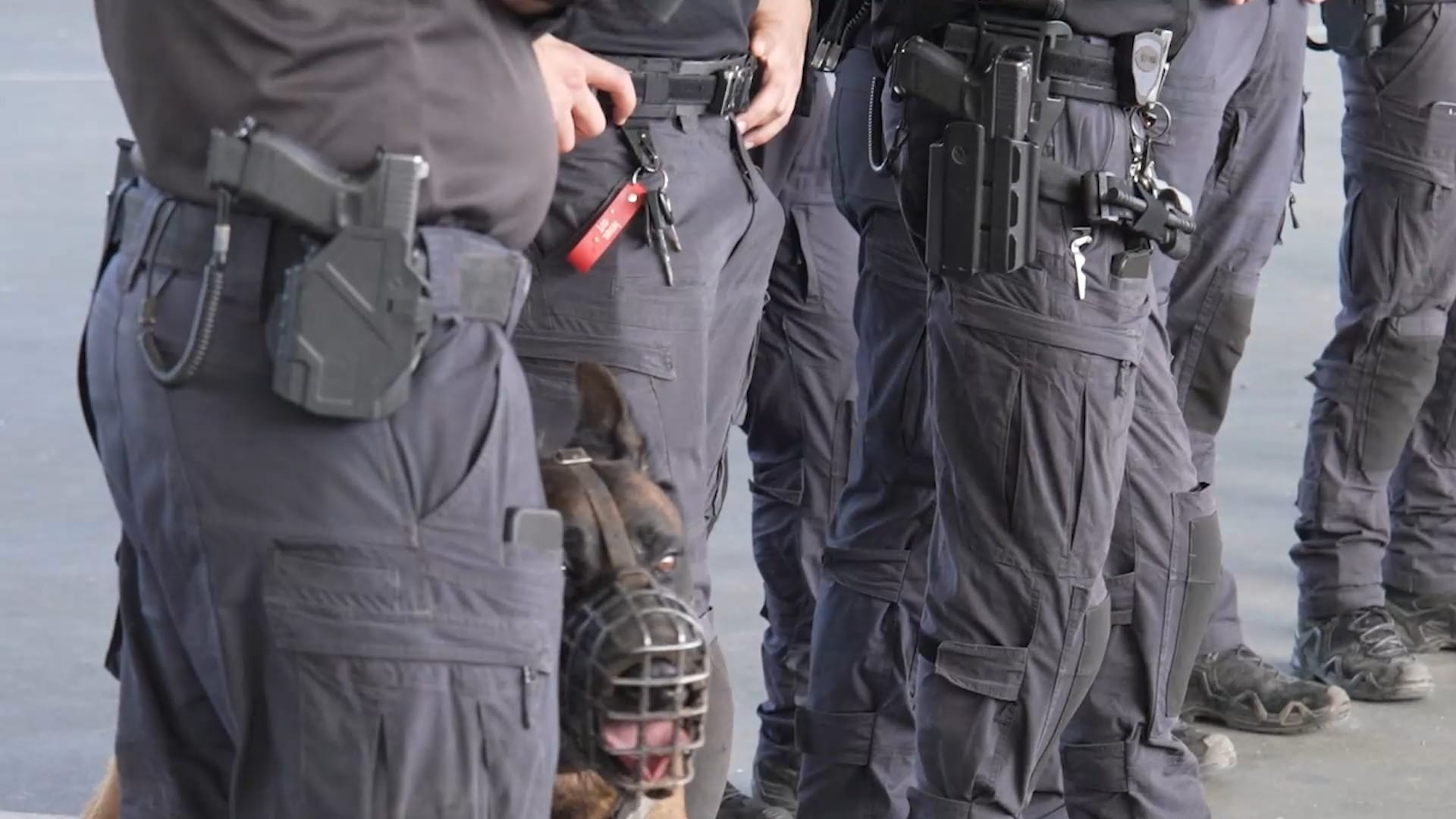 Woman Arrested After False Terror Report: "My Husband is on His Way to Commit an Attack"