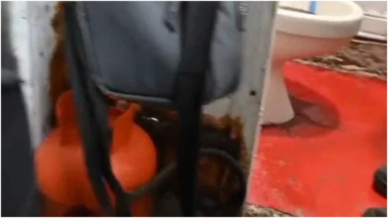 Police Shut Down Pirate Fuel Station Hidden in Arab Village Courtyard