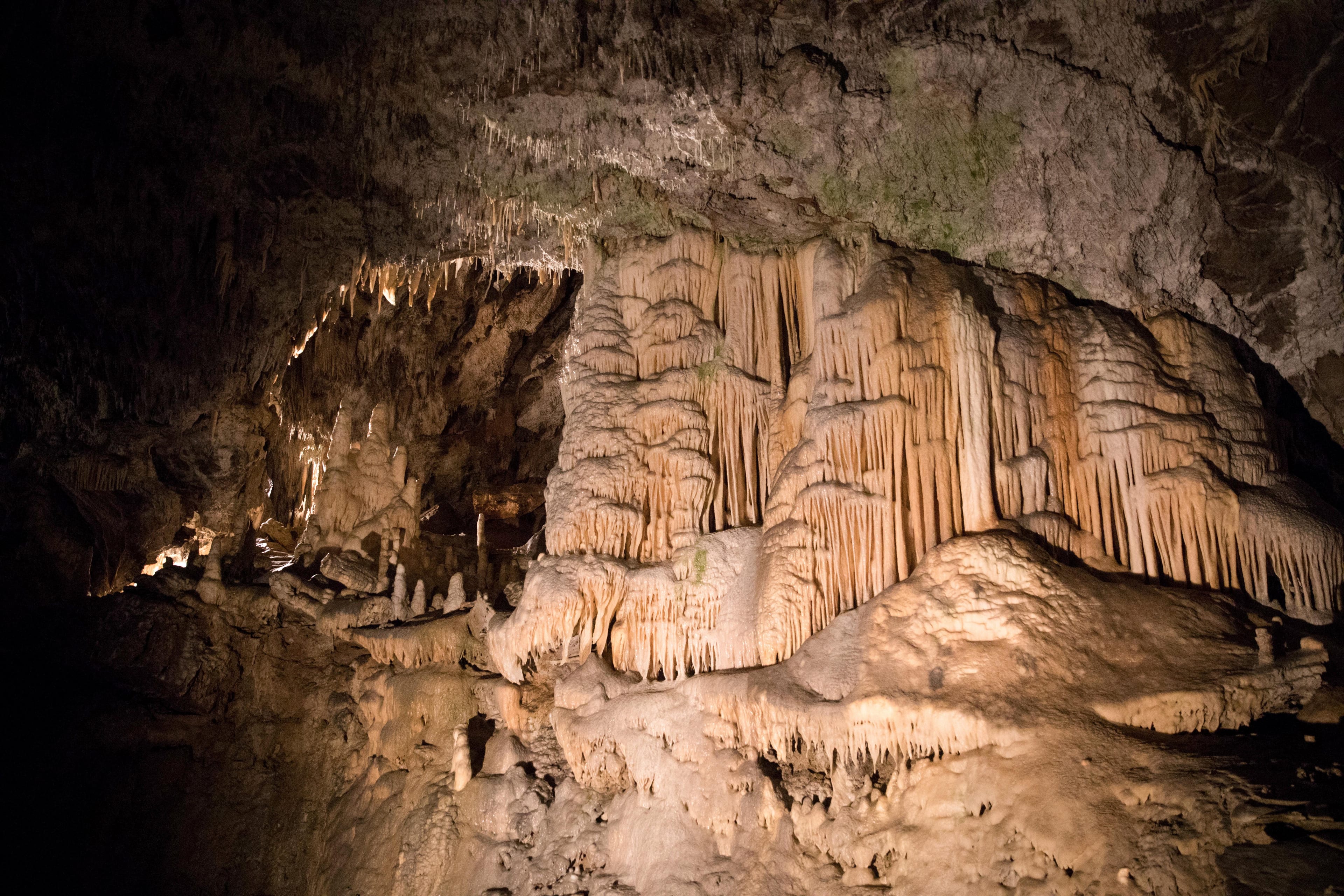 Security Forces Probe Suspicious Cave Discovered in Sharon Settlement