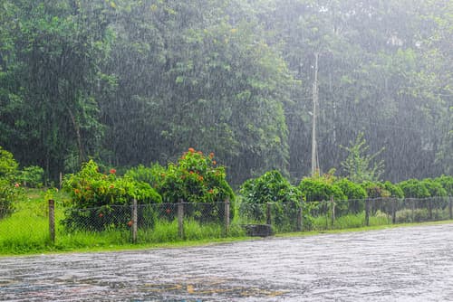 Temperatures Plunge; Rain and Strong Winds Forecast Across Israel