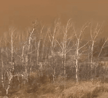 Major Fire Breaks Out at Canadian Military Base in Alberta, Deaths and Injuries Reported