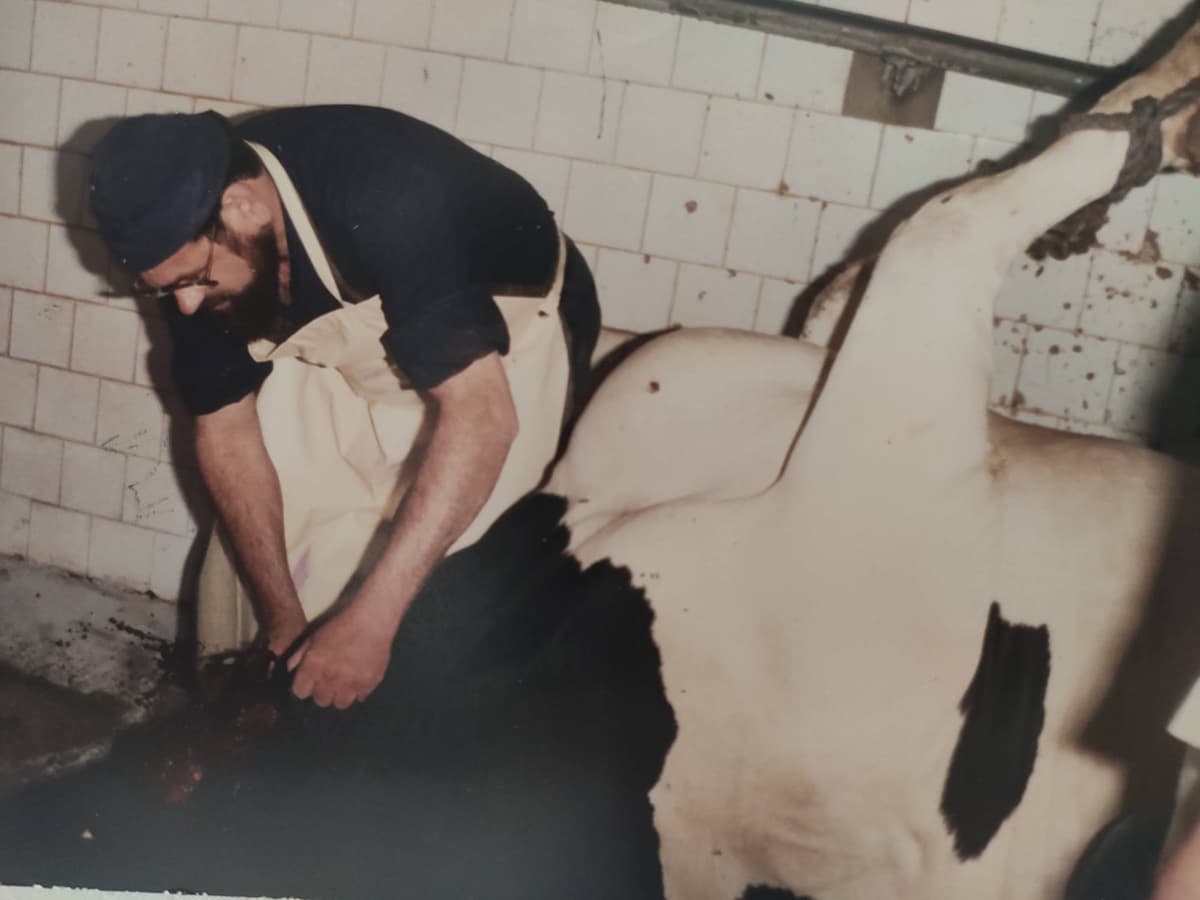 Chief Rabbinate Approves 82 New Shechita Staff to Lower Kosher Meat Prices