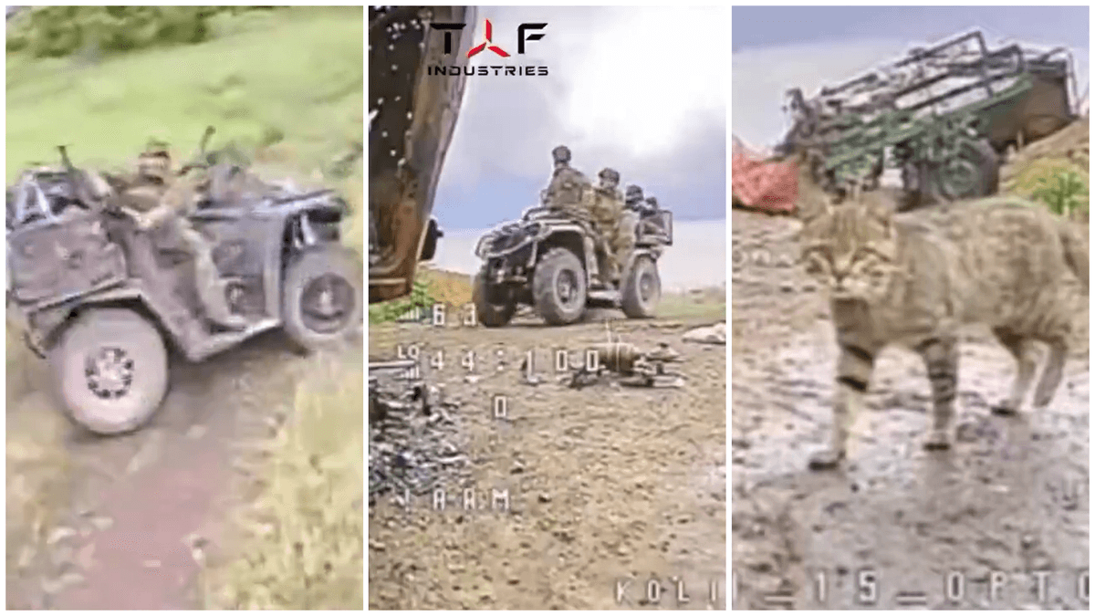 Cat Alerts Ukrainian Drone Operator Seconds Before Russian Assault Team Arrives
