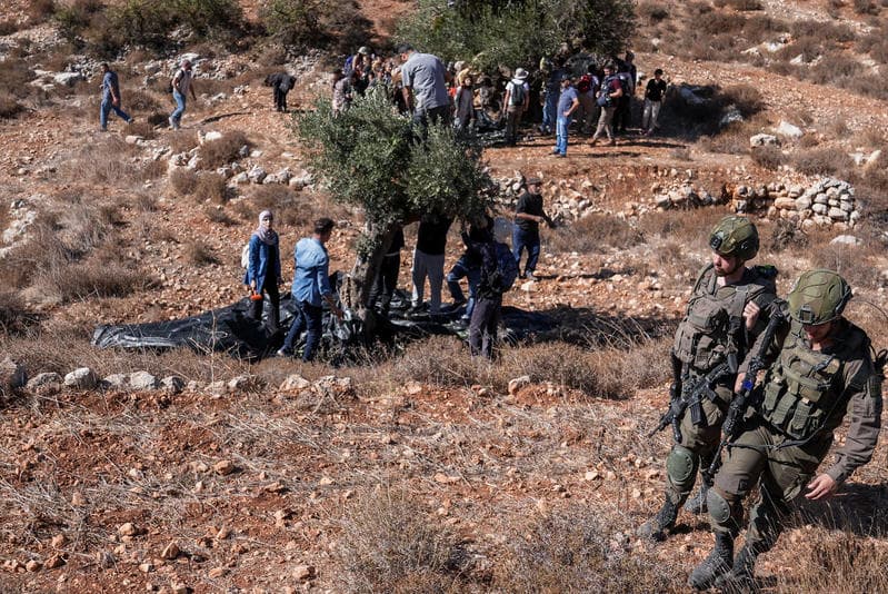 Democratic Congress Candidate Arrested by IDF During Olive Harvest Provocation in Judea and Samaria
