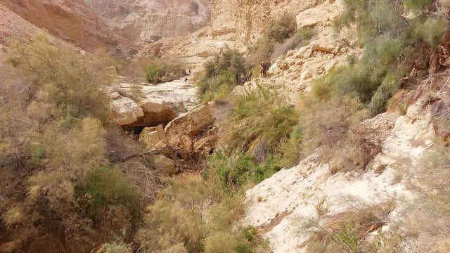 מטיילים בסוכות? צה"ל בהודעה חשובה לציבור
