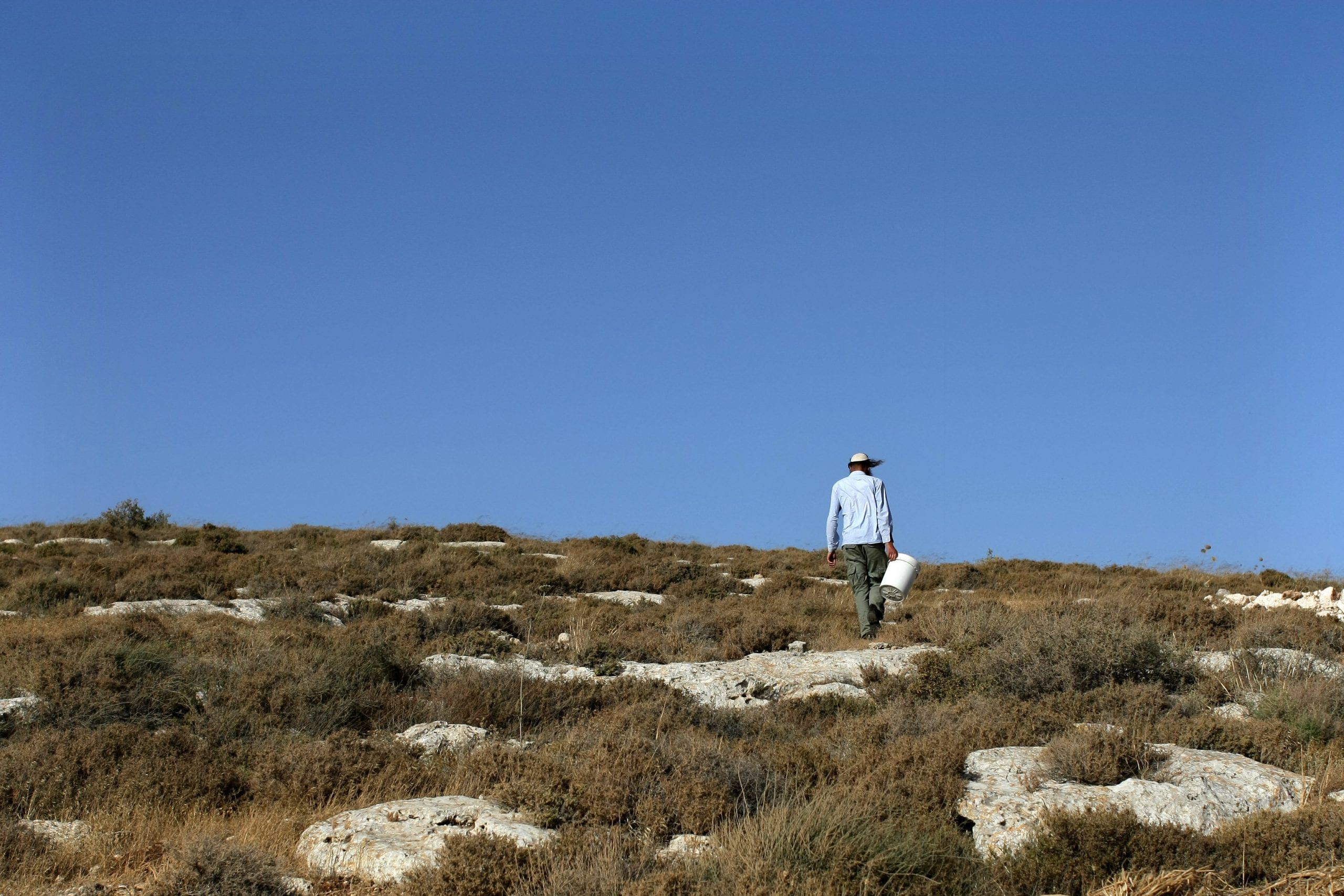 שבת מתוחה בבנימין: ירי לעבר פסגות ותקיפת רועה