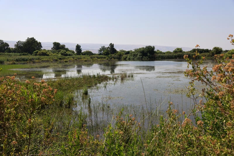 משרד הבריאות מזהיר: הכניסה למים מסוכנת
