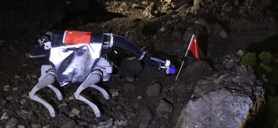 הכלבים שיטיילו על הירח: התוכנית השאפתנית של סין נחשפת