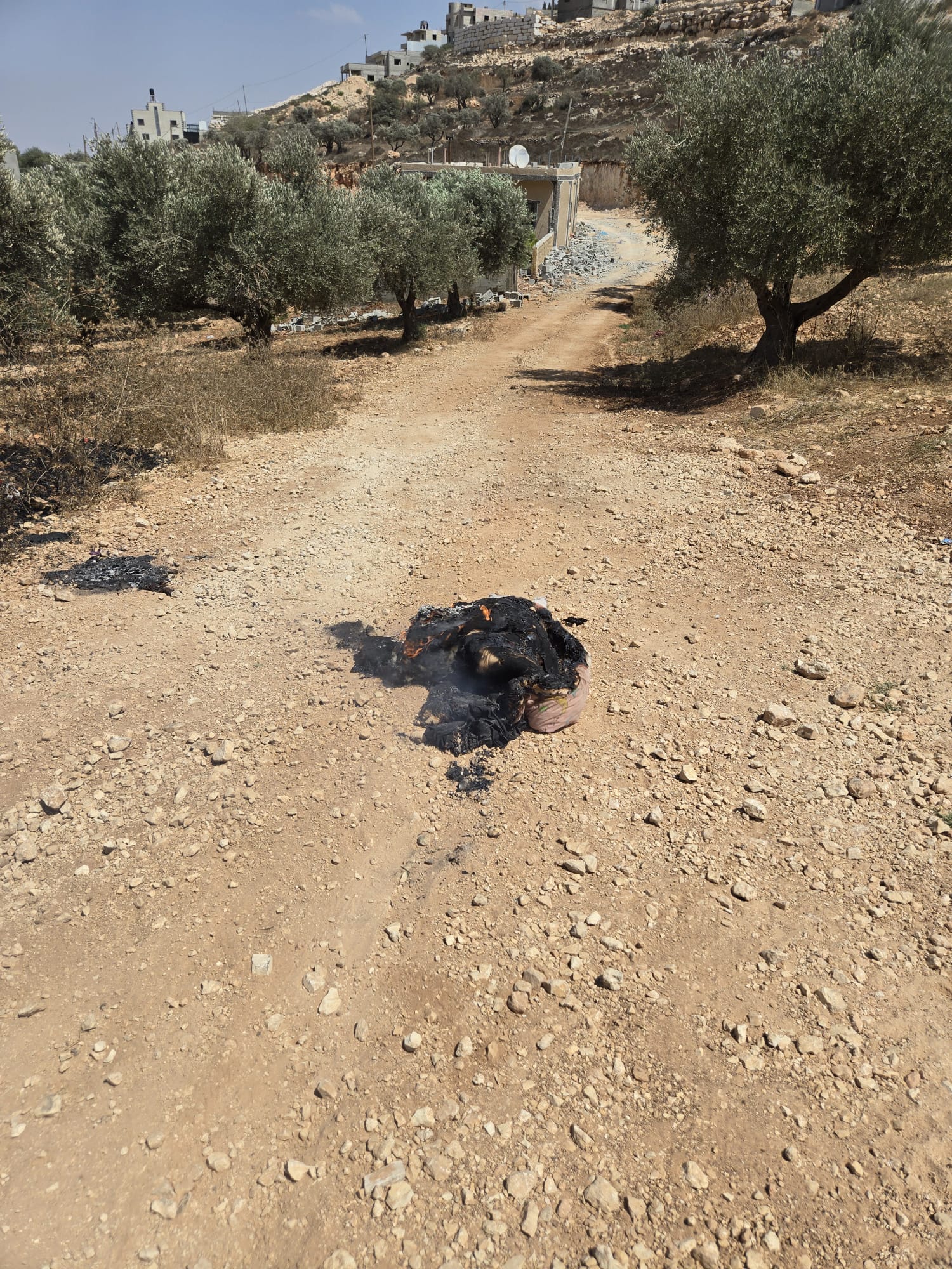 גרסת המתיישבים: ערבים יידו אבנים והתלוננו על תקיפה