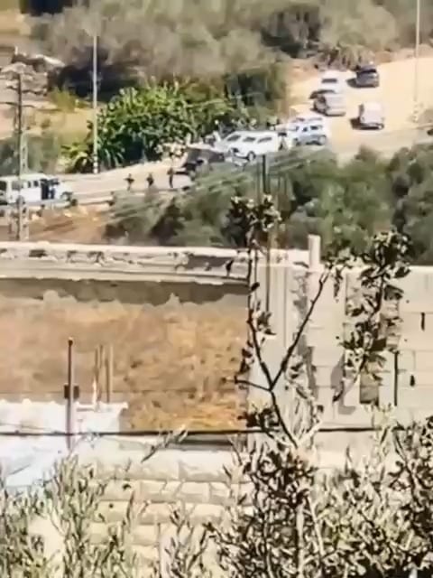 המחבל הגיע ברכב ונמלט רגלית: תיעוד מזירת הפיגוע בבנימין