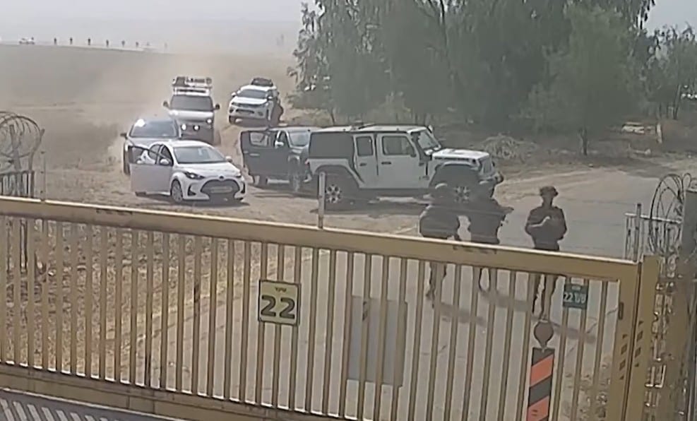"מפקד שסירב לעצור": מספרים על אל"מ רועי לוי