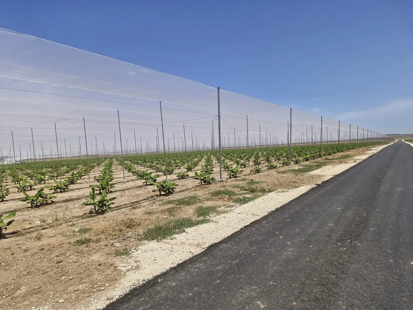 החיזור אחר קולות תושבי העוטף: אמנת ההתחייבות מהמועמדים לכנסת
