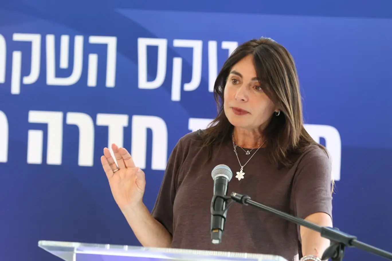 "רוצים לחסל אותי": שרת התחבורה תוקפת את אל על