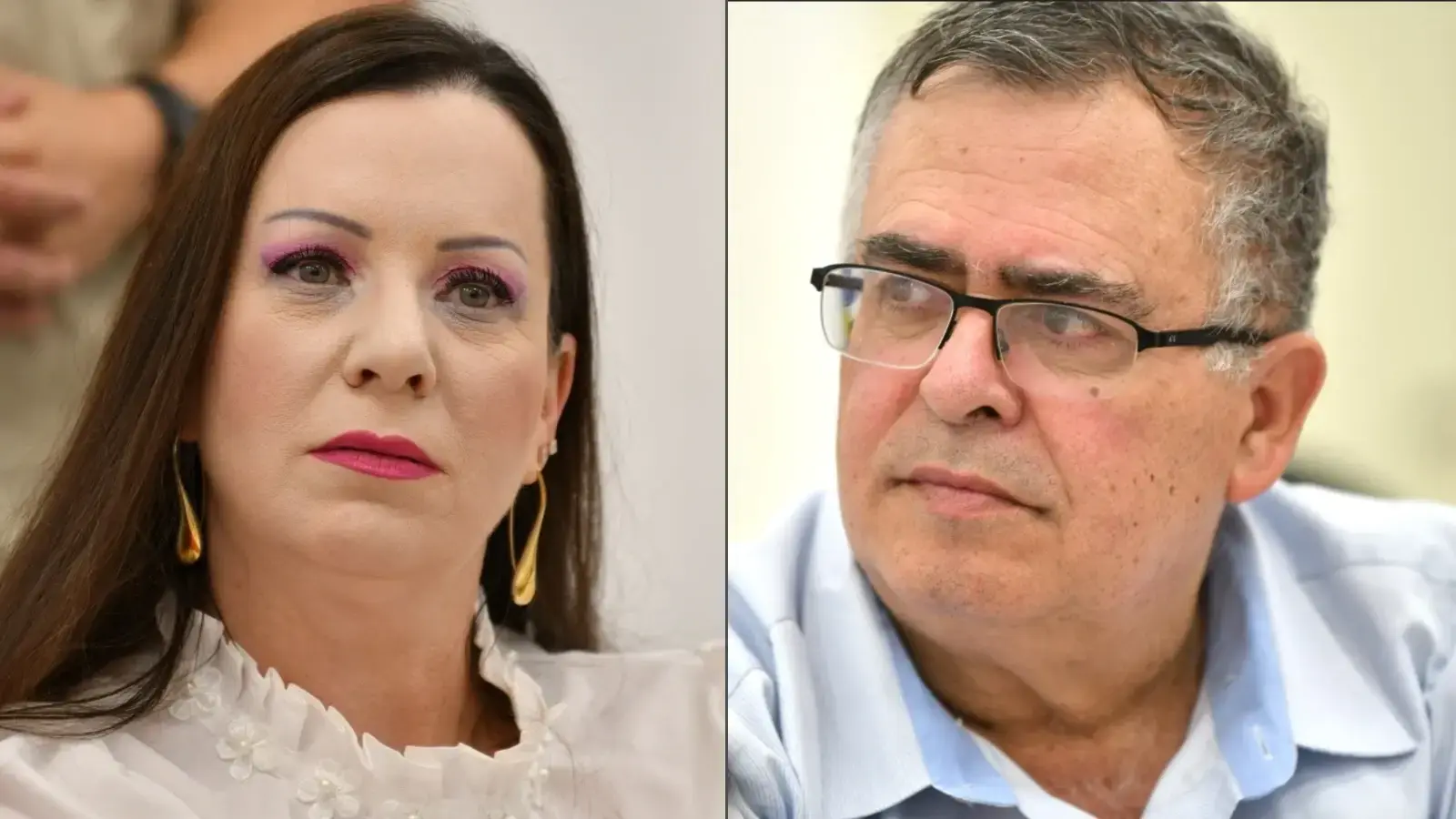 בכיר בליכוד רקם דיל לפריימריז: בלי גוטליב - אך עם ברקת וביטן