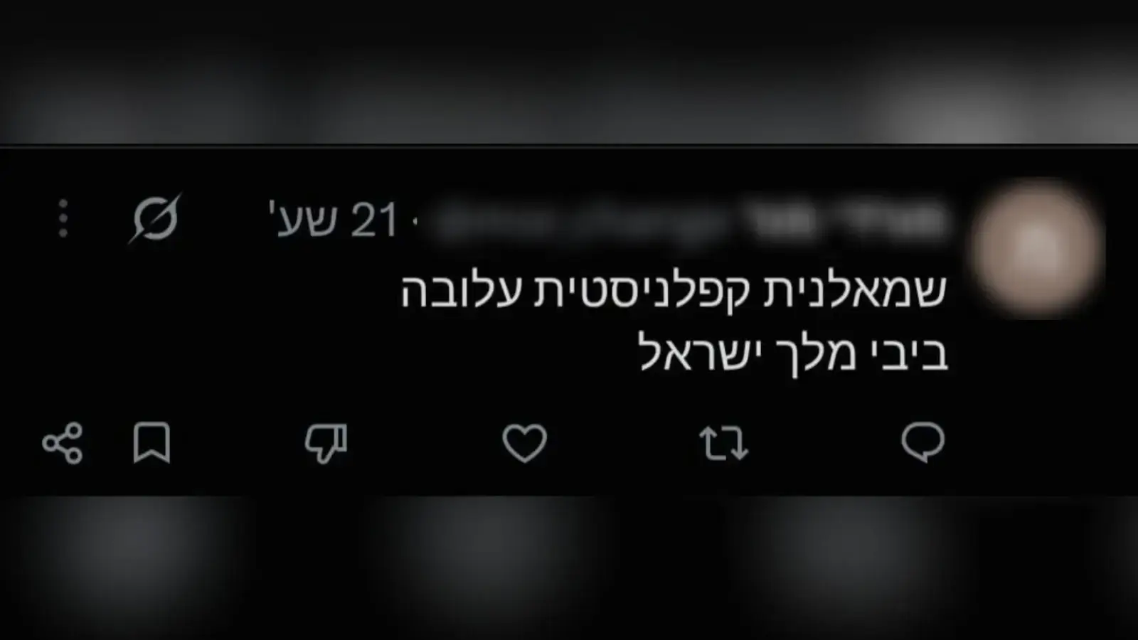 אימו של החלל החטוף: "לדעתי צריך פה שיטפון של בוץ כמו בנפאל"