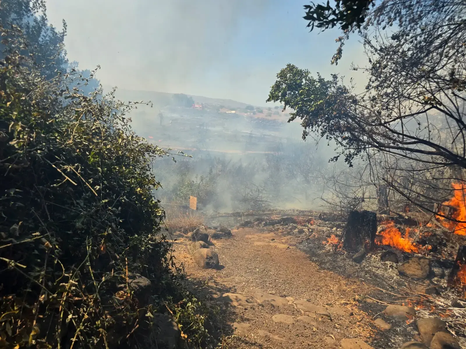 שמורת הטבע תל דן נסגרה עקב שריפה, המבקרים פונו