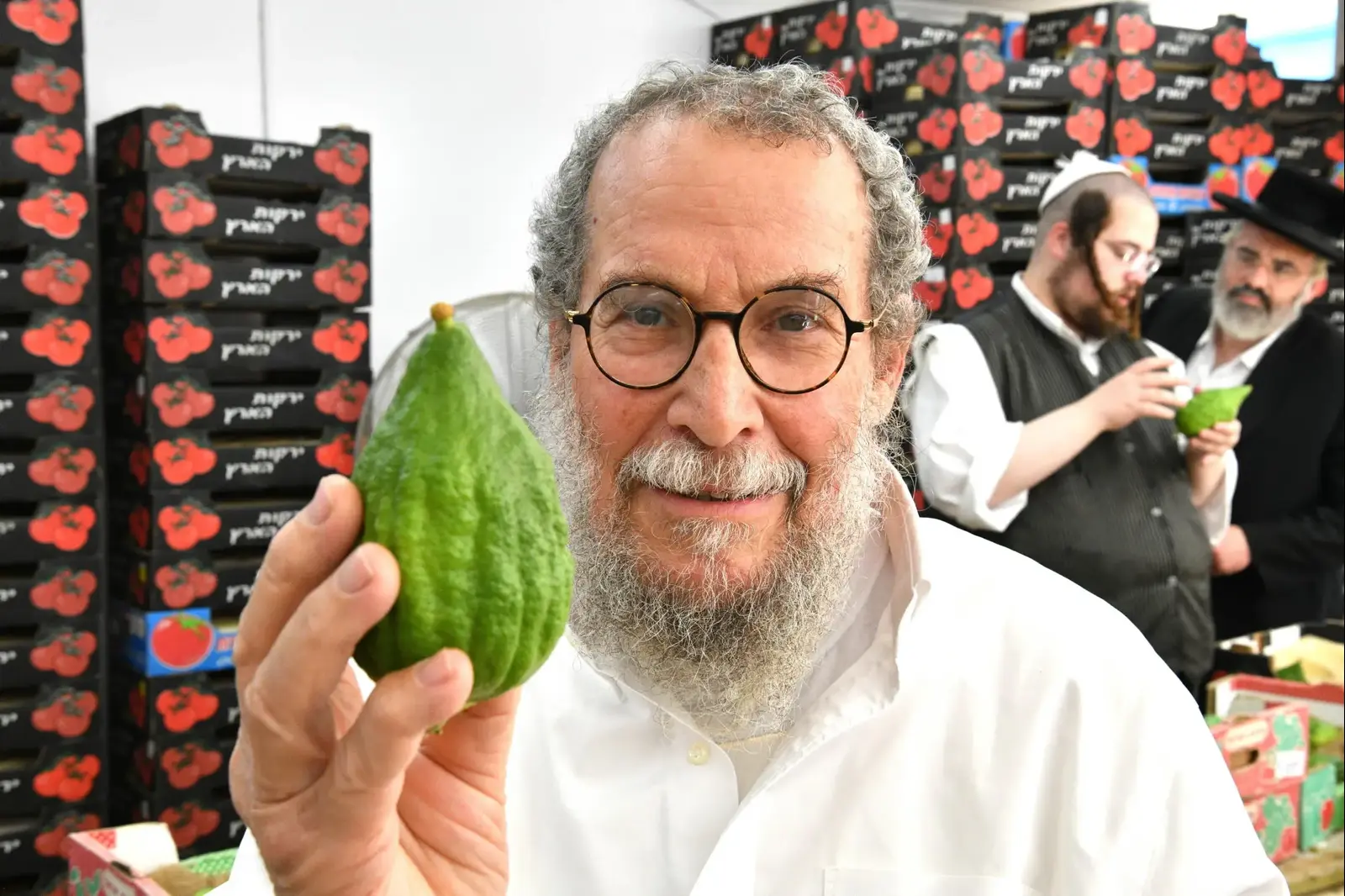 האתרוג שהרבי מלובביץ' בירך עליו - הפך לפרדס פירות ב-10,000 שקל