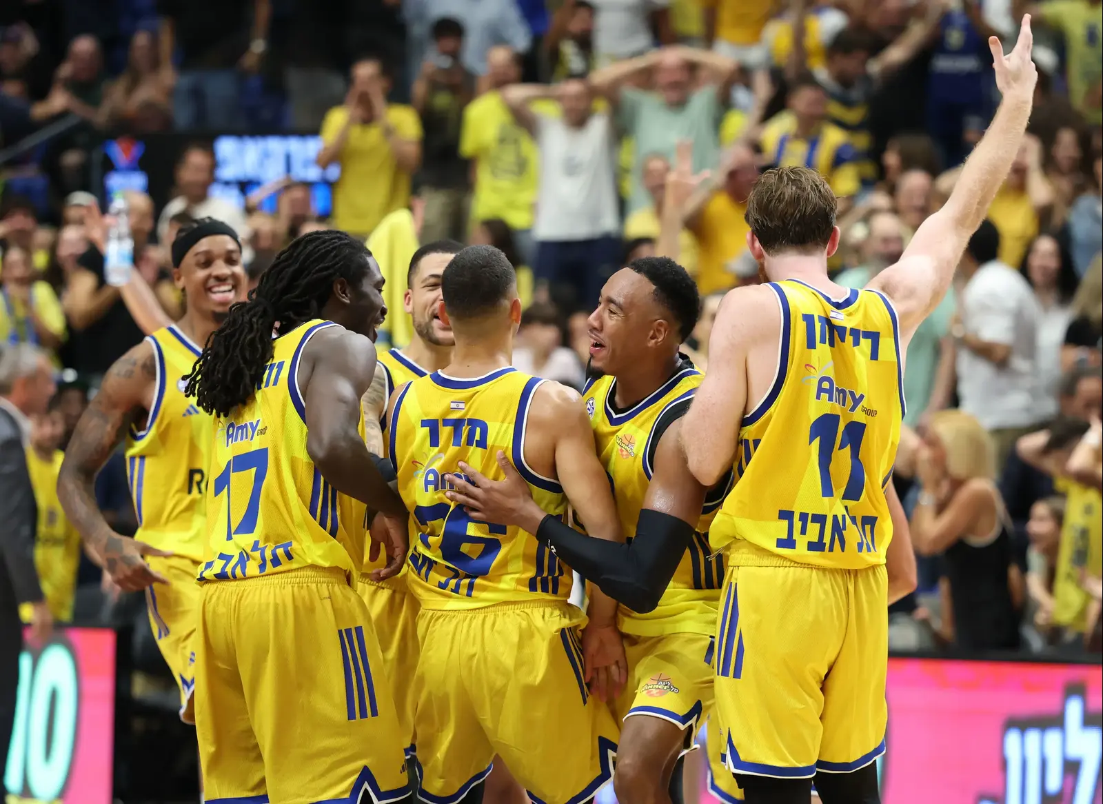 מדר, סורקין, ההגנה וחיזוק: השאלות הבוערות במכבי תל אביב