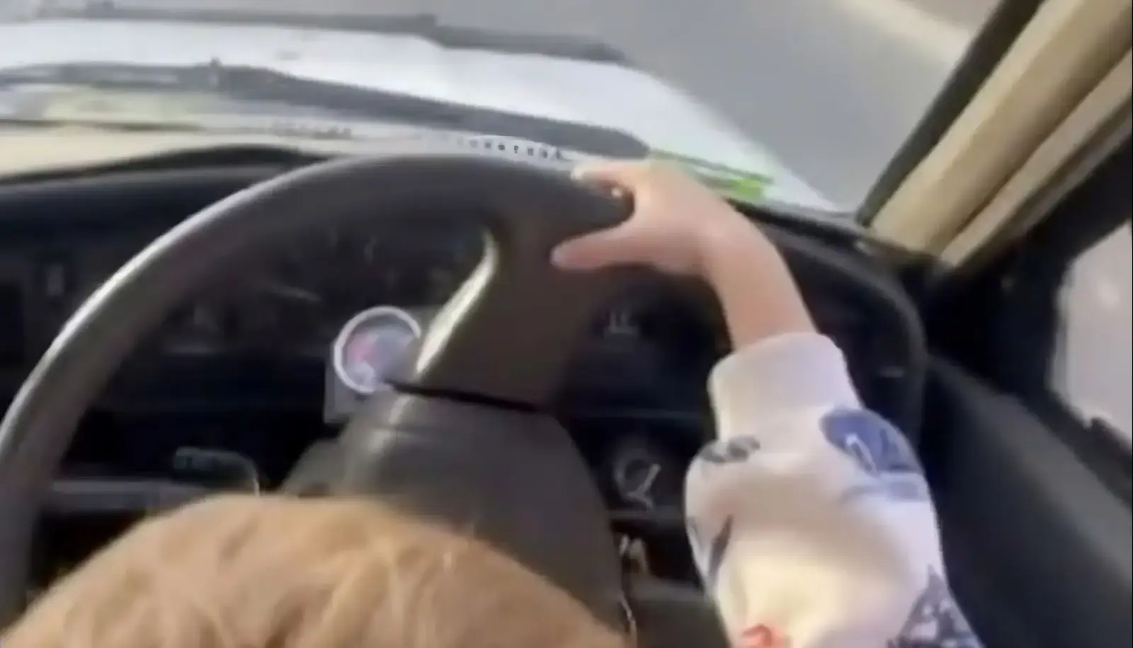 צפו בבן 3 על ההגה: גבר תיעד אותו "נוהג" - ונעצר