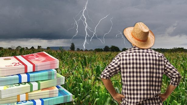 בגלל 'סופר אל ניניו': האם סל המזון בישראל בדרך לזינוק?