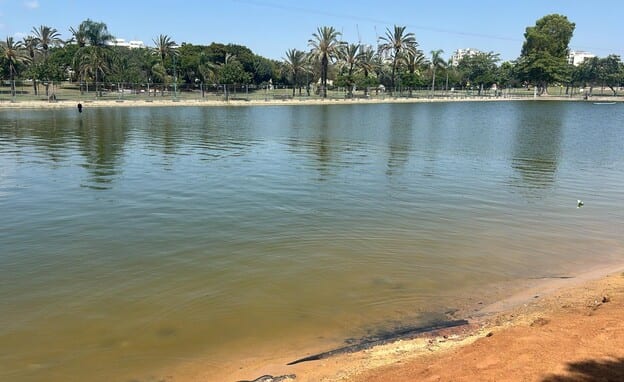 פעולות החייאה בילד כבן חמש שאותר באגם בפארק דרום בתל אביב