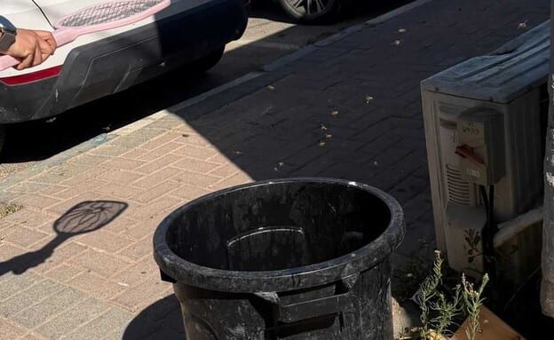 "החיילים פשוט מסתגרים במבנים": מכת דבורים וצרעות בבסיס בגוש עציון