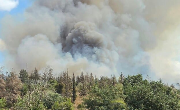 שרפה פרצה ביער חרובית: "התפשטה לצמרות העצים"