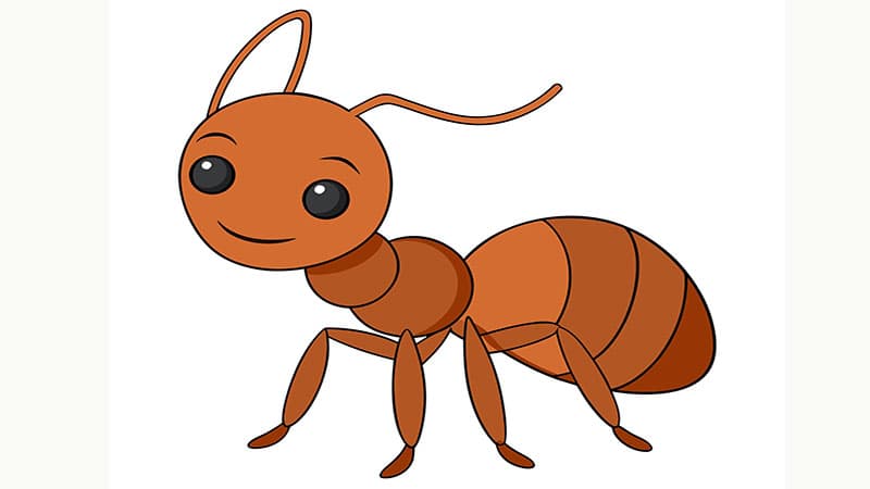 Ant-icipation: From Tefillin to Tax Seals