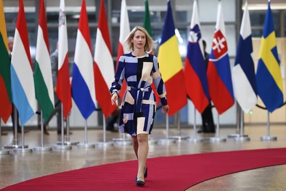 Каллас: возобновление Украиной ударов по российским НПЗ приближает мир