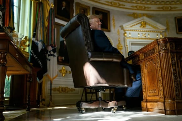 Трамп поручил сократить популяцию клещей и комаров в Вашингтоне