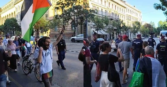 Антиизраильские акции в Европе к годовщине 7 октября собрали меньше людей