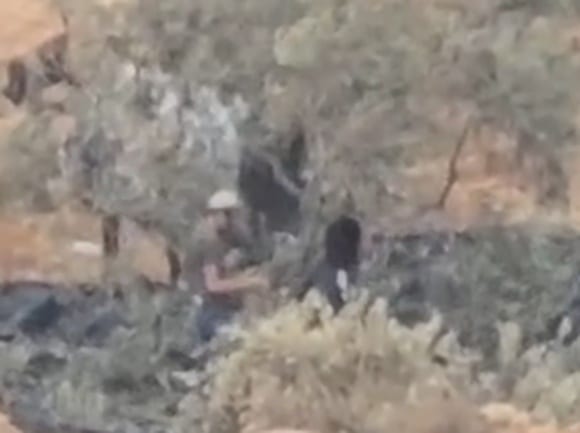 Поселенцы попали на видео во время порчи оливковых деревьев