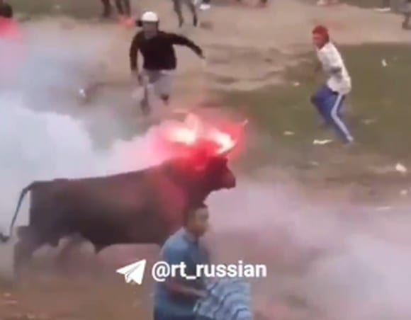 В Колумбии быку подожгли рога и выпустили его в толпу на празднике