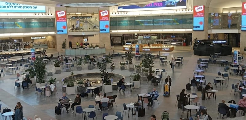 מומחה התעופה שמעריך: כך ייראו השמיים ביום שאחרי ניסיון הפיגוע בטיסת פליי דובאי