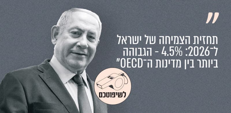 הצמיחה צפויה להיות חזקה, אך זו לא כל התמונה