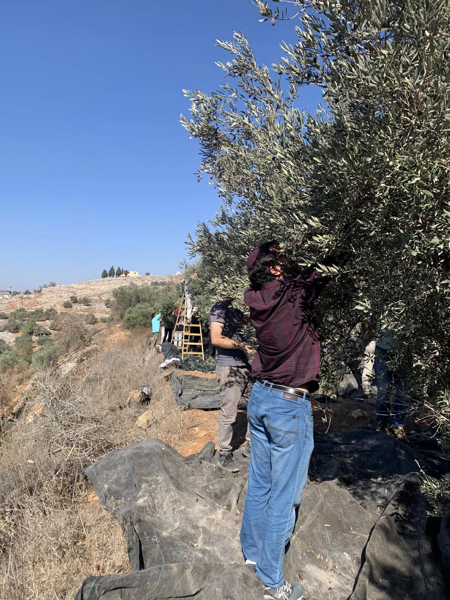 Denying settler violence does not make us better allies to Israel