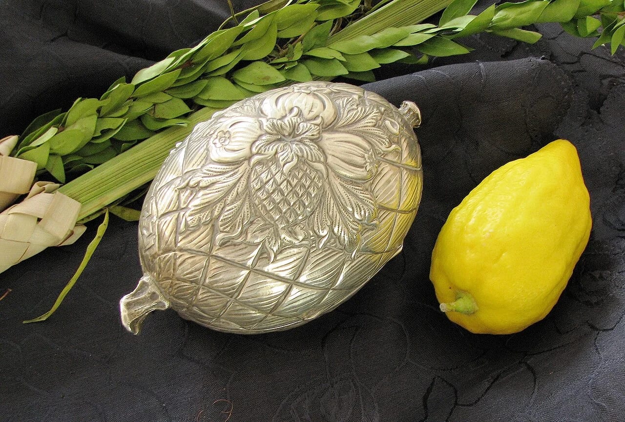 The etrog’s long journey: How one fruit crosses the world before Sukkot