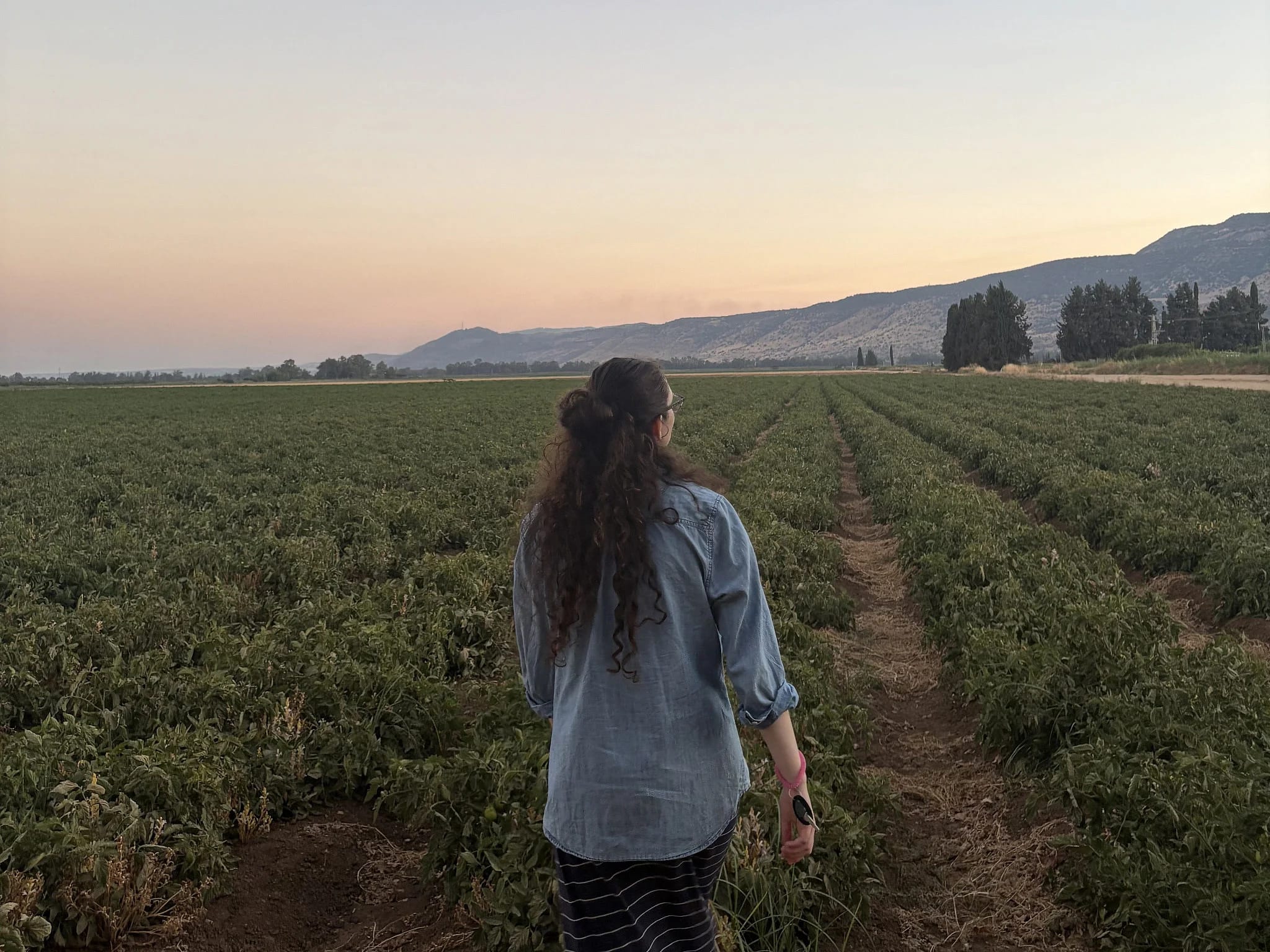 From New Jersey to Northern Israel