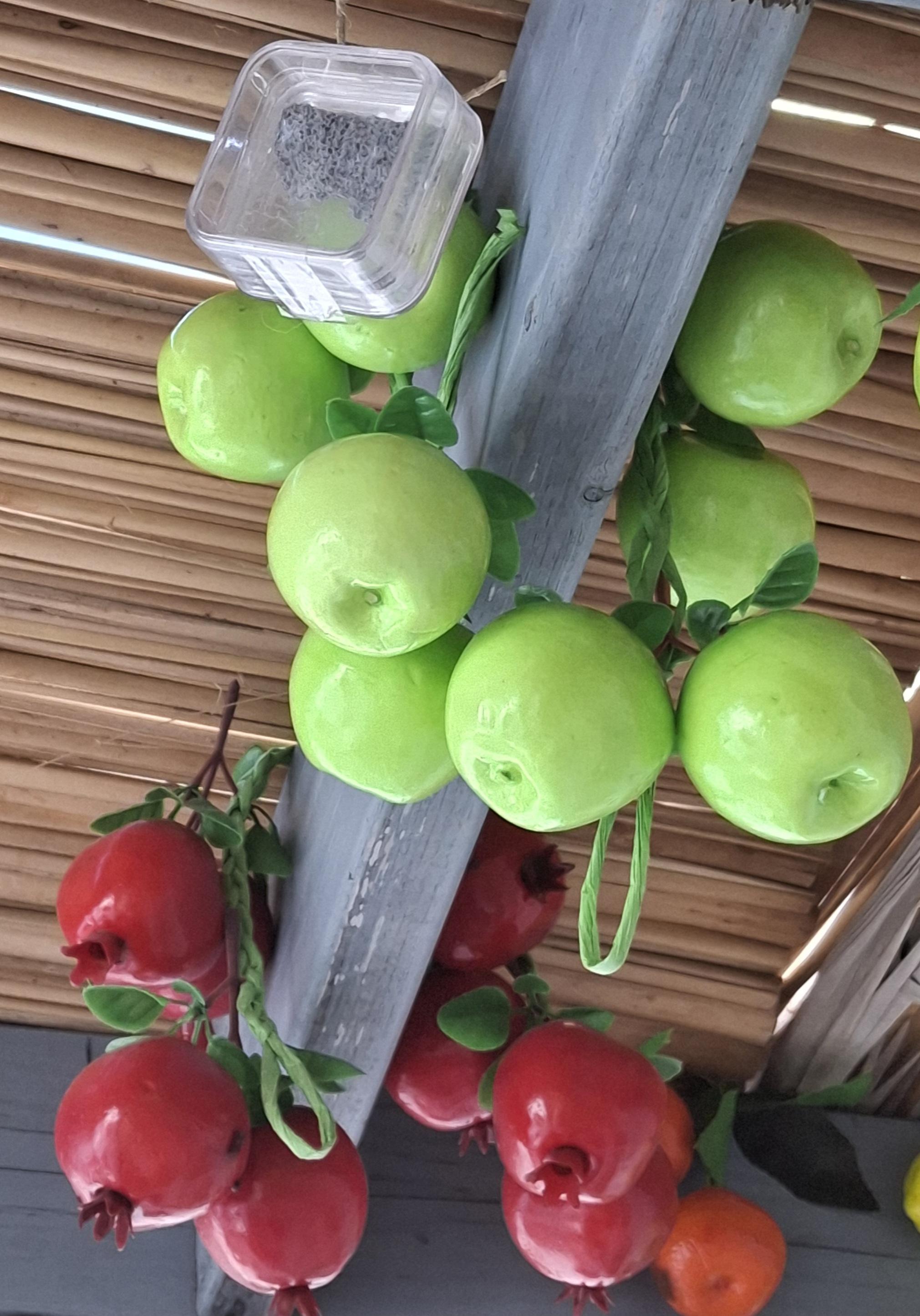Sukkot 5787 thoughts