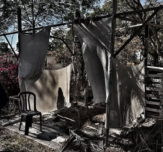 Sukkot and the Shadow of October 7: Uninviting the Angel of Death in Israel