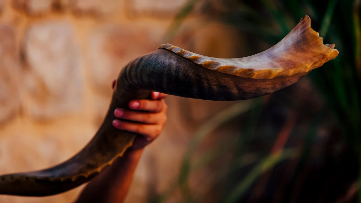 Rosh Hashanah: The Particular and the Universal