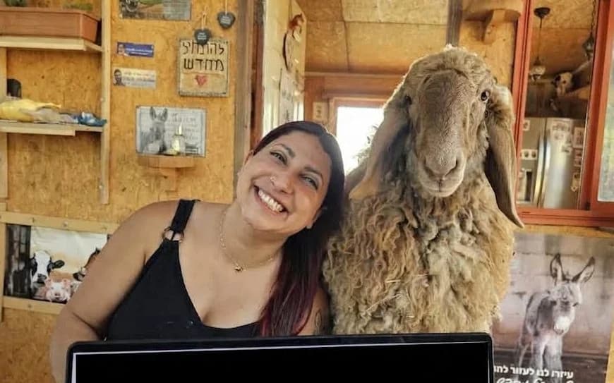 When animals save people